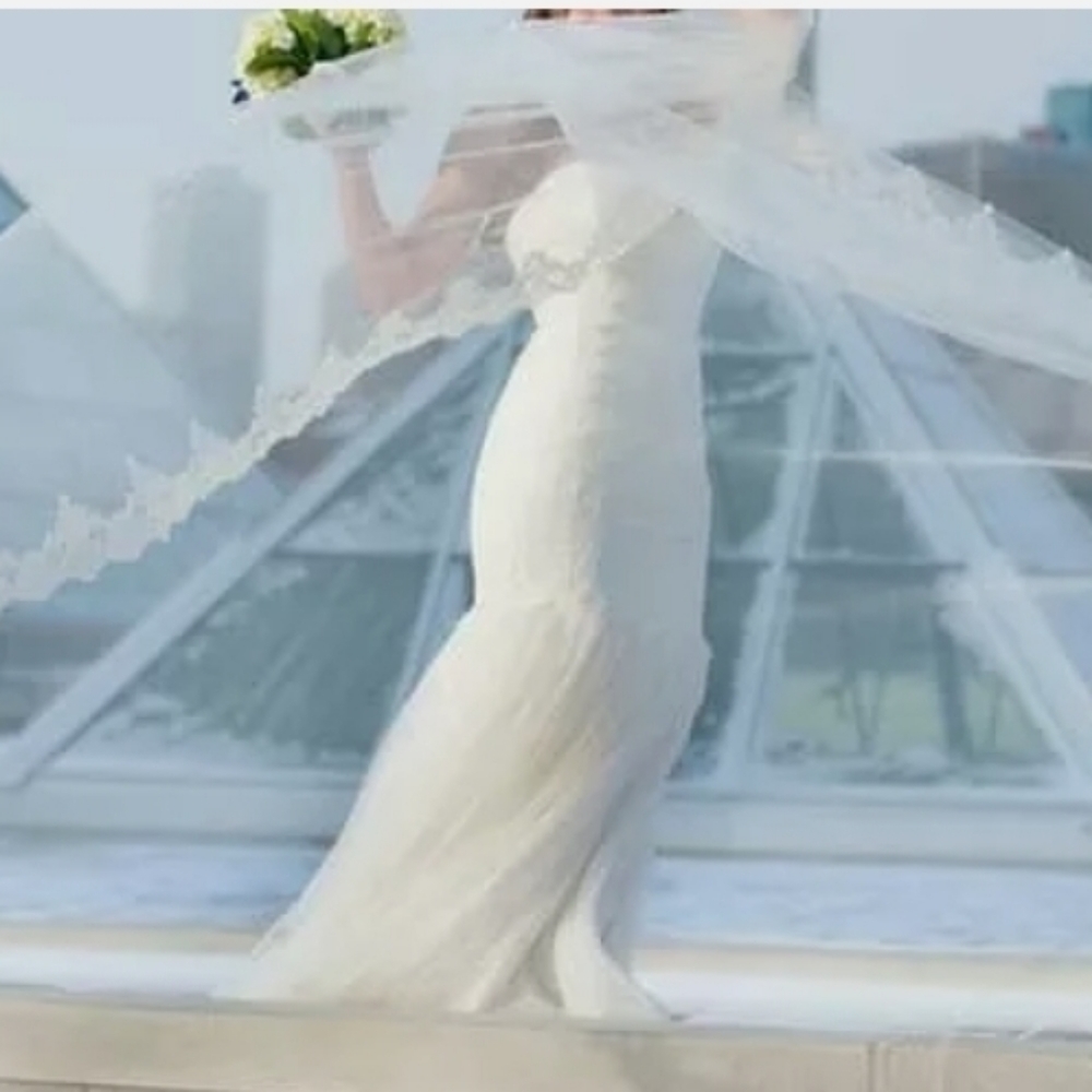 David's Bridal Mermaid Wedding Dress and Veil